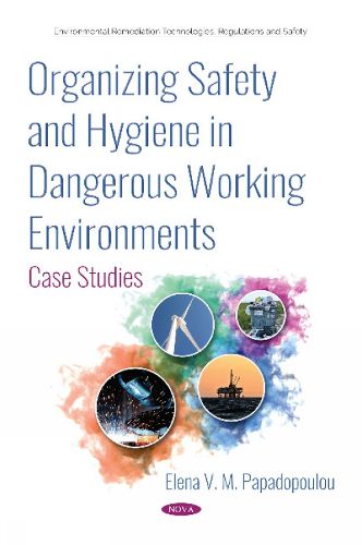 Cover image for Organizing Safety and Hygiene in Dangerous Working Environments: Case Studies