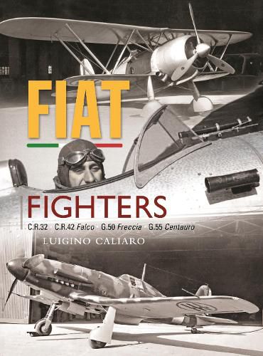 Cover image for Fiat Fighters