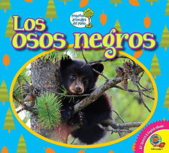 Cover image for Los Osos Negros