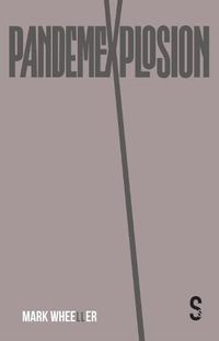 Cover image for Pandemexplosion