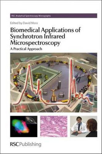 Biomedical Applications of Synchrotron Infrared Microspectroscopy: A Practical Approach