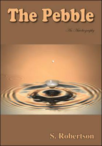 Cover image for The Pebble