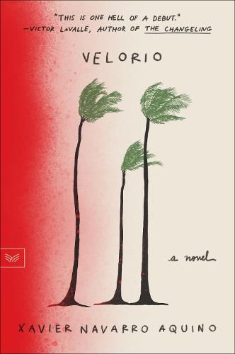 Cover image for Velorio