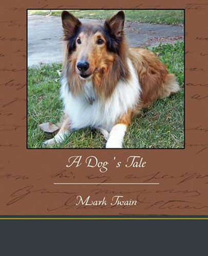 Cover image for A Dog's Tale
