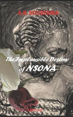 Cover image for The implausible destiny of Nsona