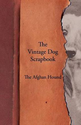 Cover image for The Vintage Dog Scrapbook - The Afghan Hound