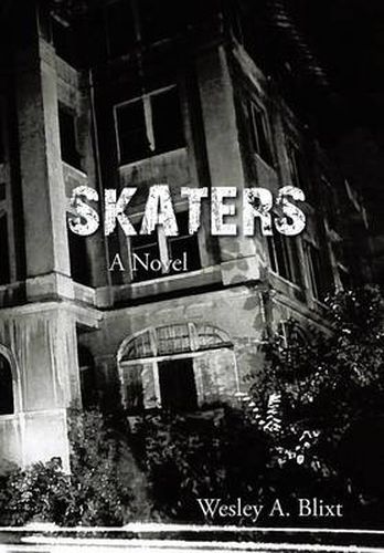 Cover image for Skaters
