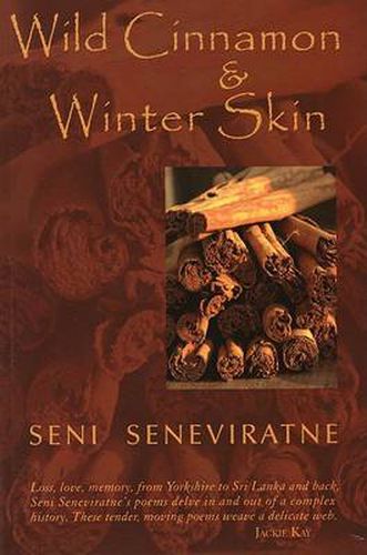 Cover image for Wild Cinnamon and Winter Skin