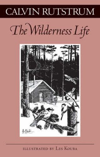 Cover image for Wilderness Life