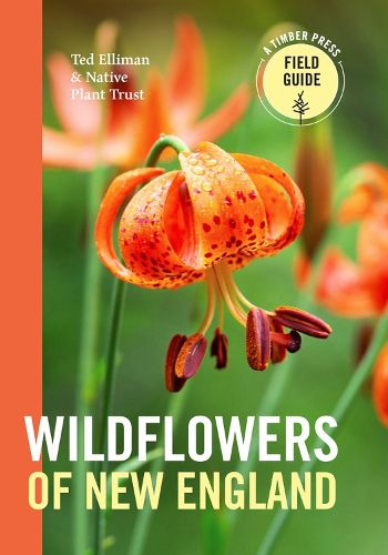 Cover image for Wildflowers of New England