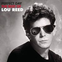 Cover image for Perfect Day
