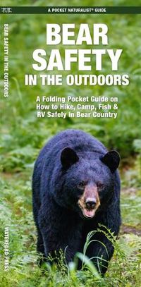 Cover image for Bear Safety in the Outdoors