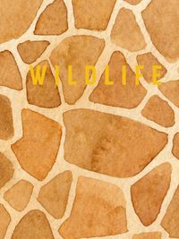 Cover image for Wildlife