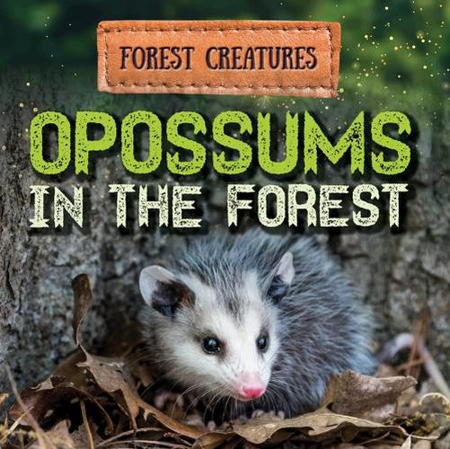 Cover image for Opossums in the Forest