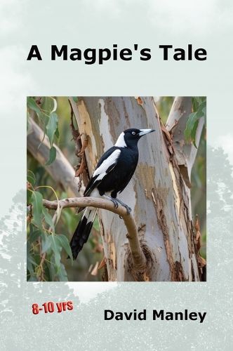 Cover image for A Magpie's Tale