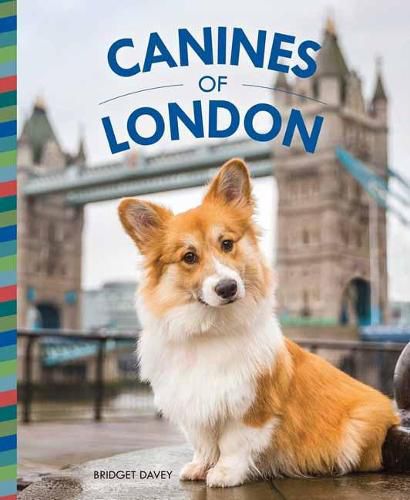 Cover image for Canines of London