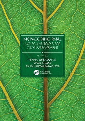 Cover image for Non-Coding RNAs