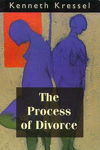 Cover image for The Process of Divorce: Helping Couples Negotiate Settlements