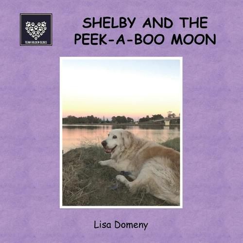 Cover image for Shelby and the Peek-A-Boo Moon: Team Golden Oldies #4