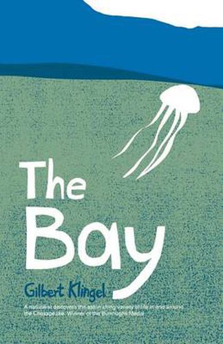 Cover image for The Bay