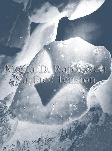 Cover image for Maria D. Rapicavoli: Surface Tension