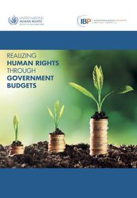 Cover image for Realizing human rights through government budgets