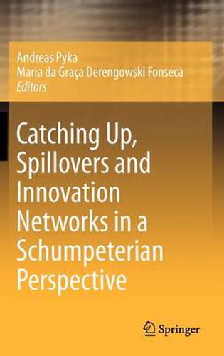 Cover image for Catching Up, Spillovers and Innovation Networks in a Schumpeterian Perspective