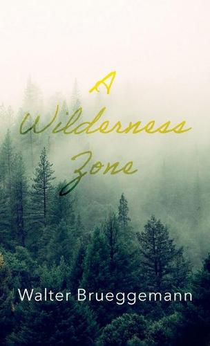 Cover image for A Wilderness Zone