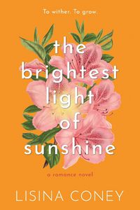 Cover image for Brightest Light of Sunshine