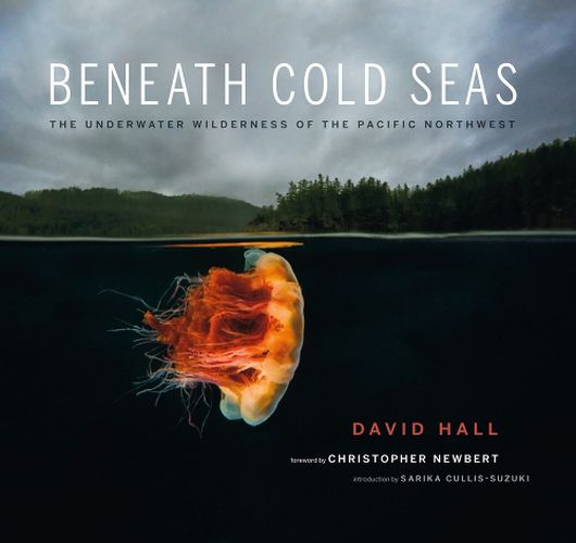 Cover image for Beneath Cold Seas: The Underwater Wilderness of the Pacific Northwest
