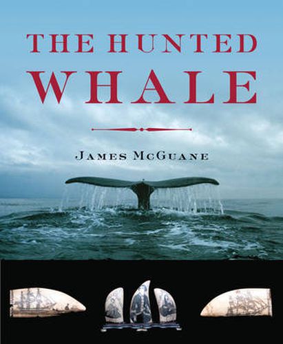 Cover image for The Hunted Whale