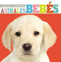 Cover image for Toca y siente animales bebes