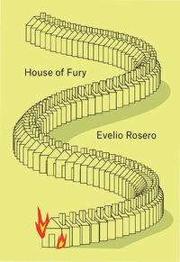 Cover image for House of Fury