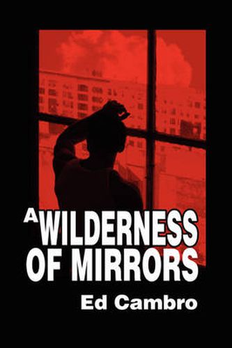 Cover image for A Wilderness of Mirrors