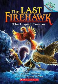 Cover image for The Crystal Caverns: A Branches Book (the Last Firehawk #2): Volume 2