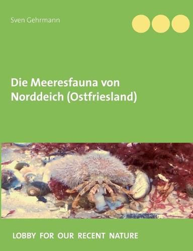 Cover image for Die Meeresfauna von Norddeich (Ostfriesland)