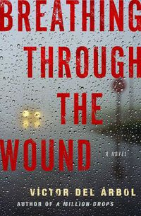 Cover image for Breathing Through The Wound