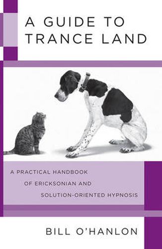 Cover image for A Guide to Trance Land: A Practical Handbook of Ericksonian and Solution-Oriented Hypnosis