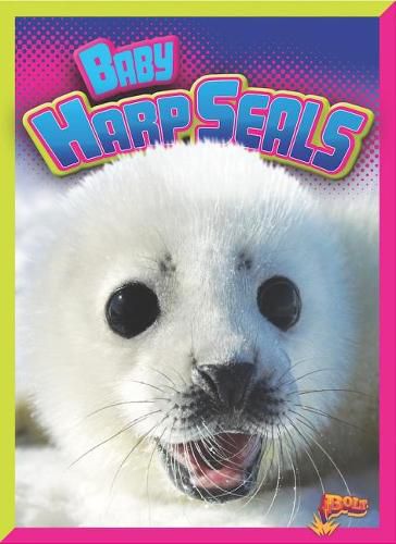 Cover image for Baby Harp Seals