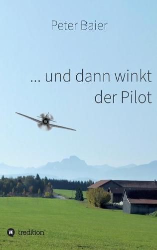 Cover image for ... und dann winkt der Pilot