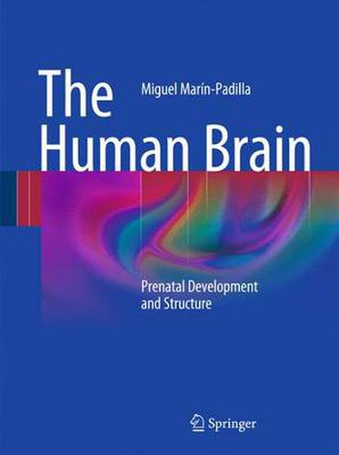 Cover image for The Human Brain: Prenatal Development and Structure