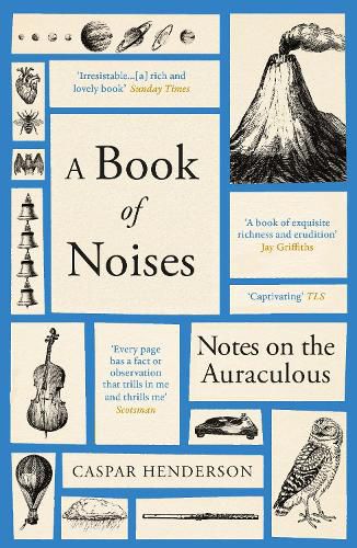 Cover image for A Book of Noises