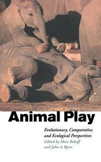 Cover image for Animal Play: Evolutionary, Comparative and Ecological Perspectives