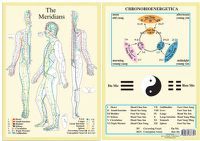 Cover image for Meridians -- A4