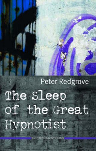 Cover image for The Sleep of the Great Hypnotist