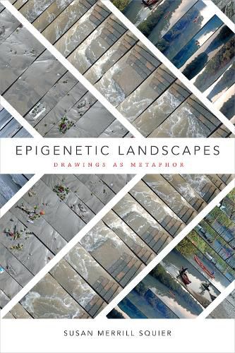 Cover image for Epigenetic Landscapes: Drawings as Metaphor