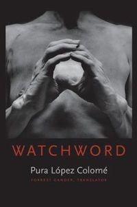 Cover image for Watchword