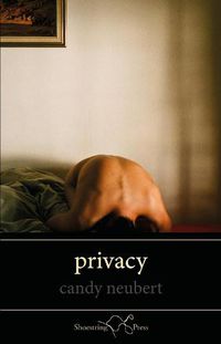 Cover image for Privacy