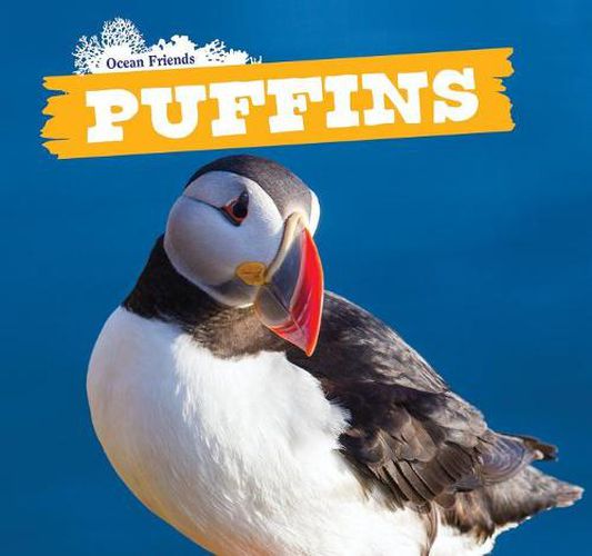 Cover image for Puffins