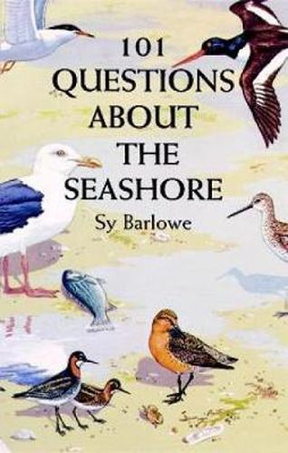 Cover image for 101 Questions about Seashore